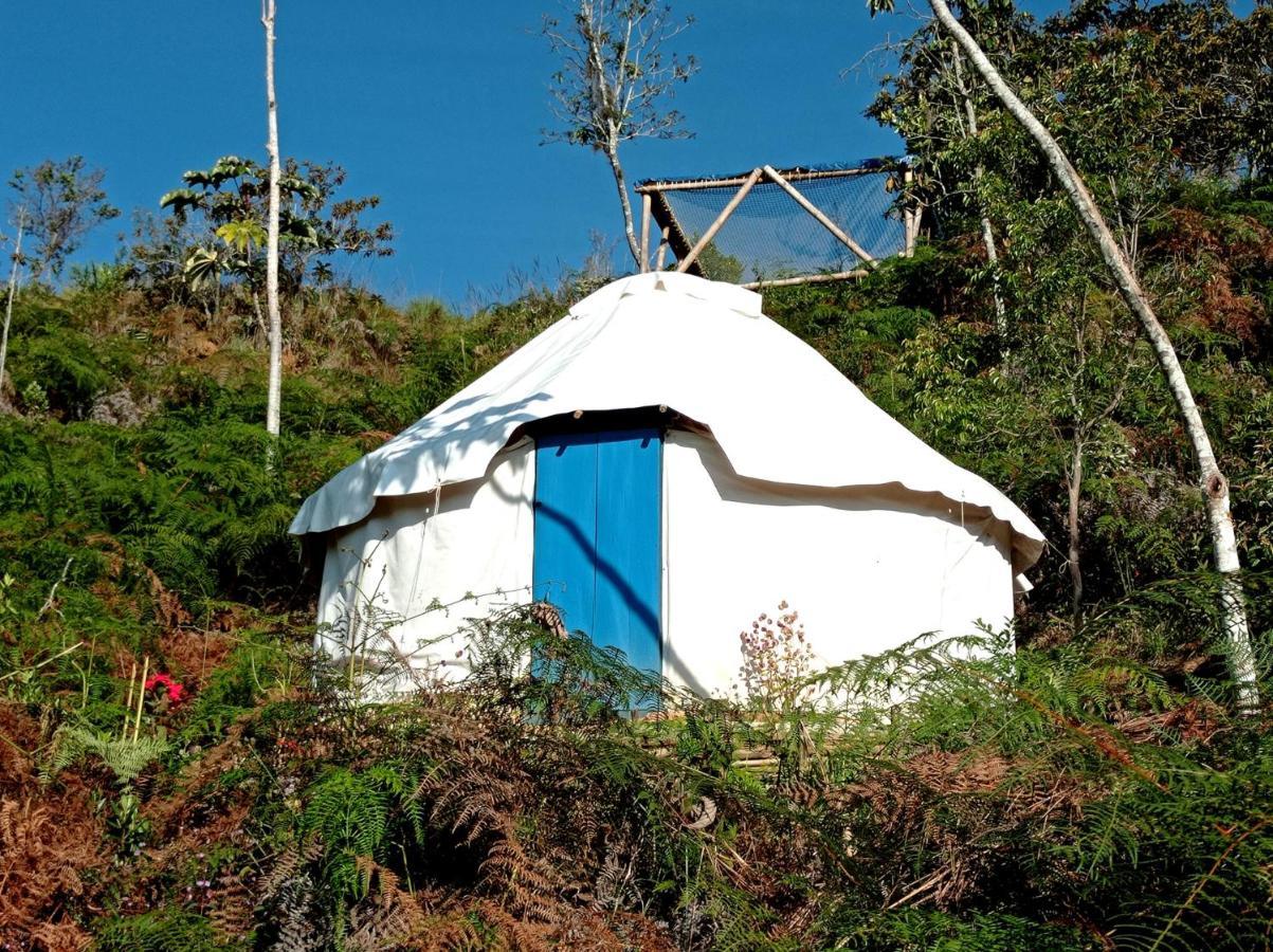 La Pacha Hostel บาริชารา ภายนอก รูปภาพ