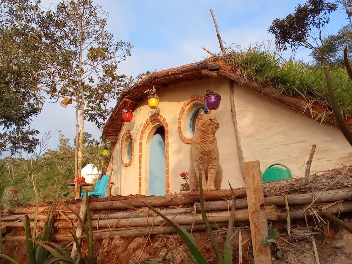 La Pacha Hostel บาริชารา ภายนอก รูปภาพ