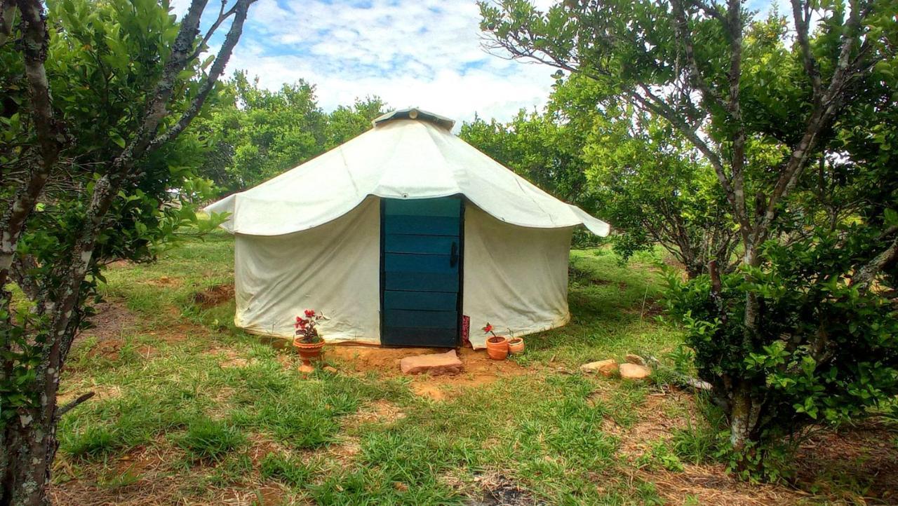 La Pacha Hostel บาริชารา ภายนอก รูปภาพ
