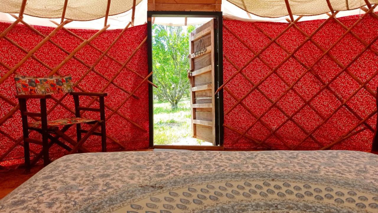 La Pacha Hostel บาริชารา ภายนอก รูปภาพ