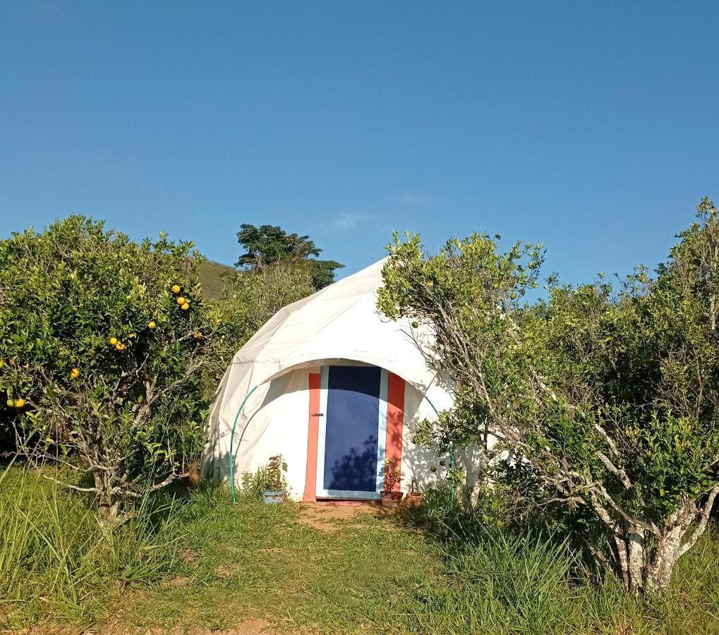 La Pacha Hostel บาริชารา ภายนอก รูปภาพ