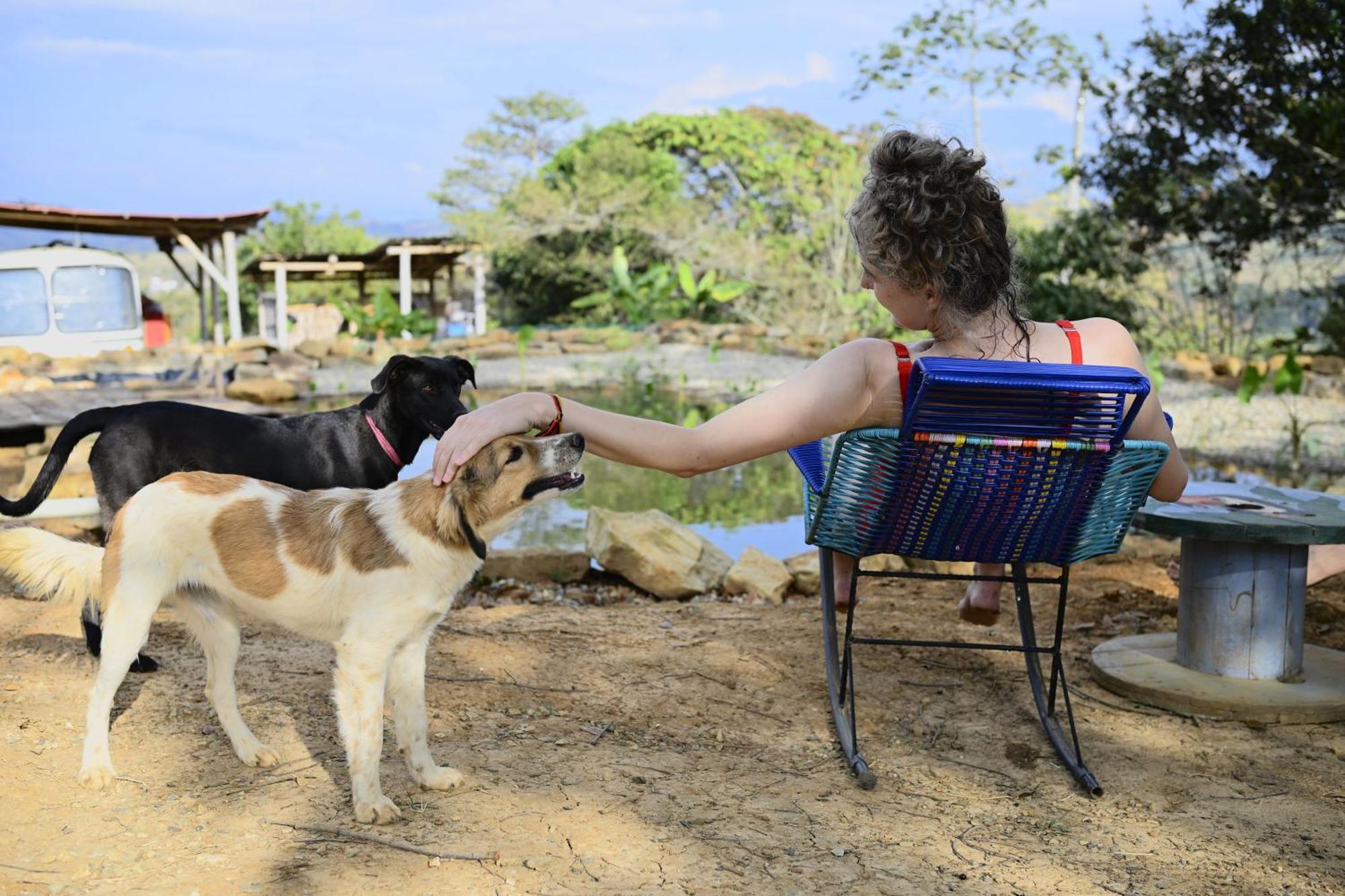 La Pacha Hostel บาริชารา ภายนอก รูปภาพ