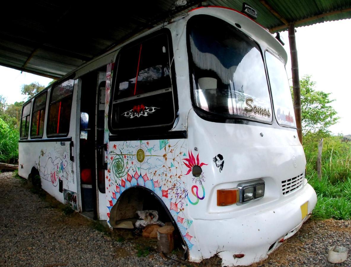 La Pacha Hostel บาริชารา ภายนอก รูปภาพ