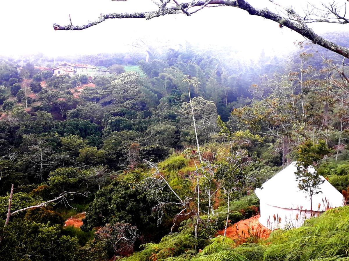 La Pacha Hostel บาริชารา ภายนอก รูปภาพ