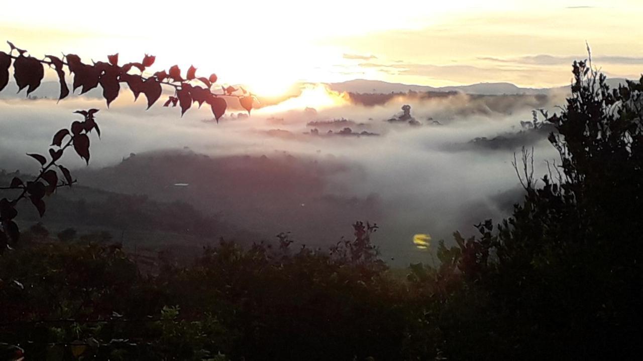 La Pacha Hostel บาริชารา ภายนอก รูปภาพ